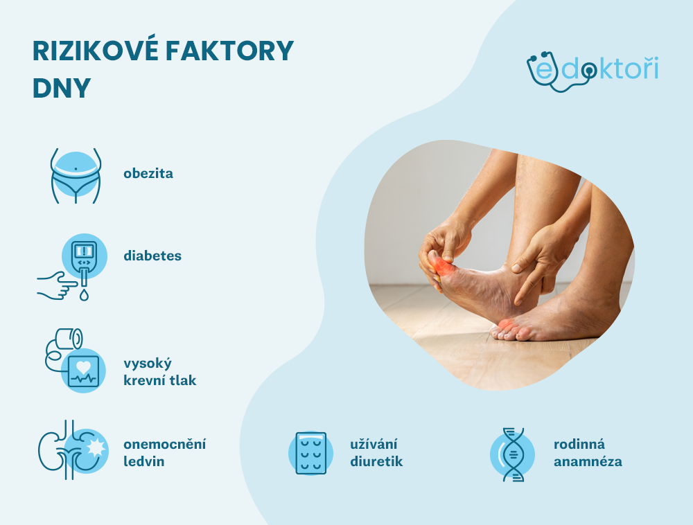 Rizikové faktory dny