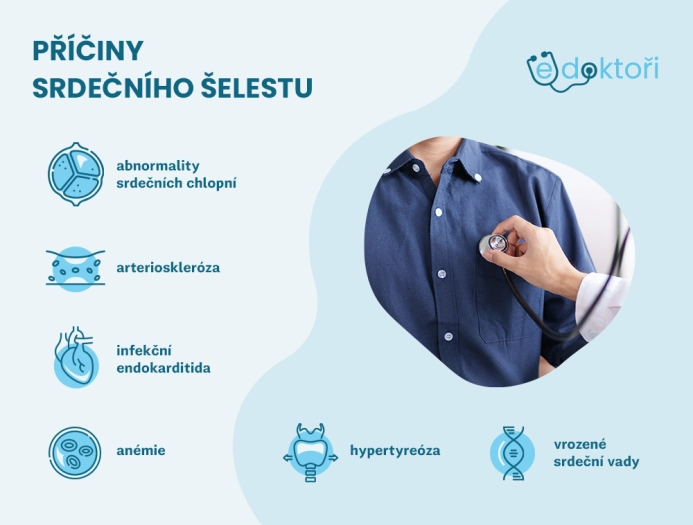 Příčiny srdečního šelestu