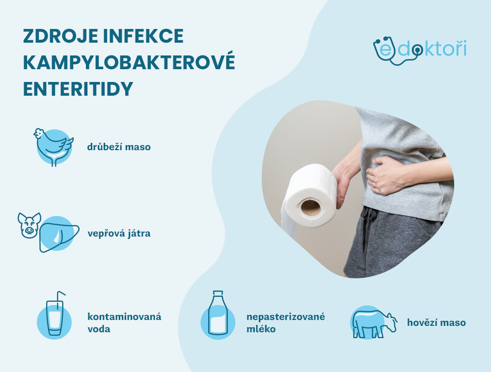 Zdroje kamylobakterové enteritidy