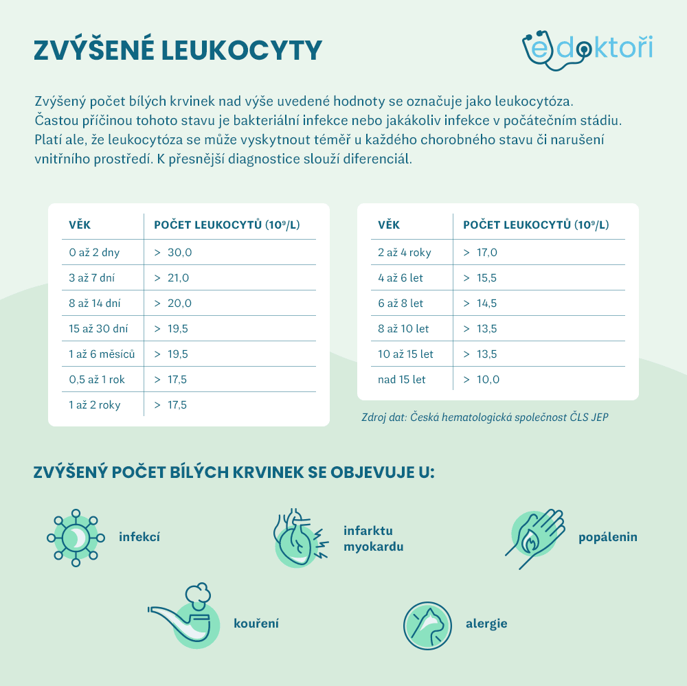 Autor: Redakce eDoktoři Zvýšené leukocyty