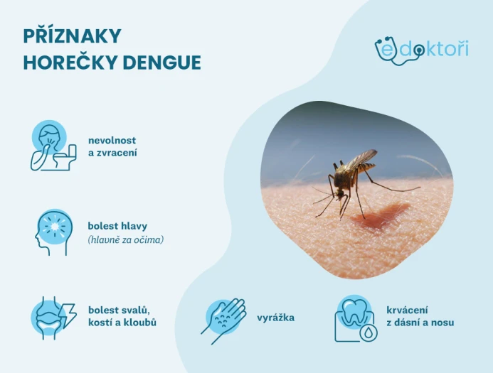 Příznaky horečky dengue