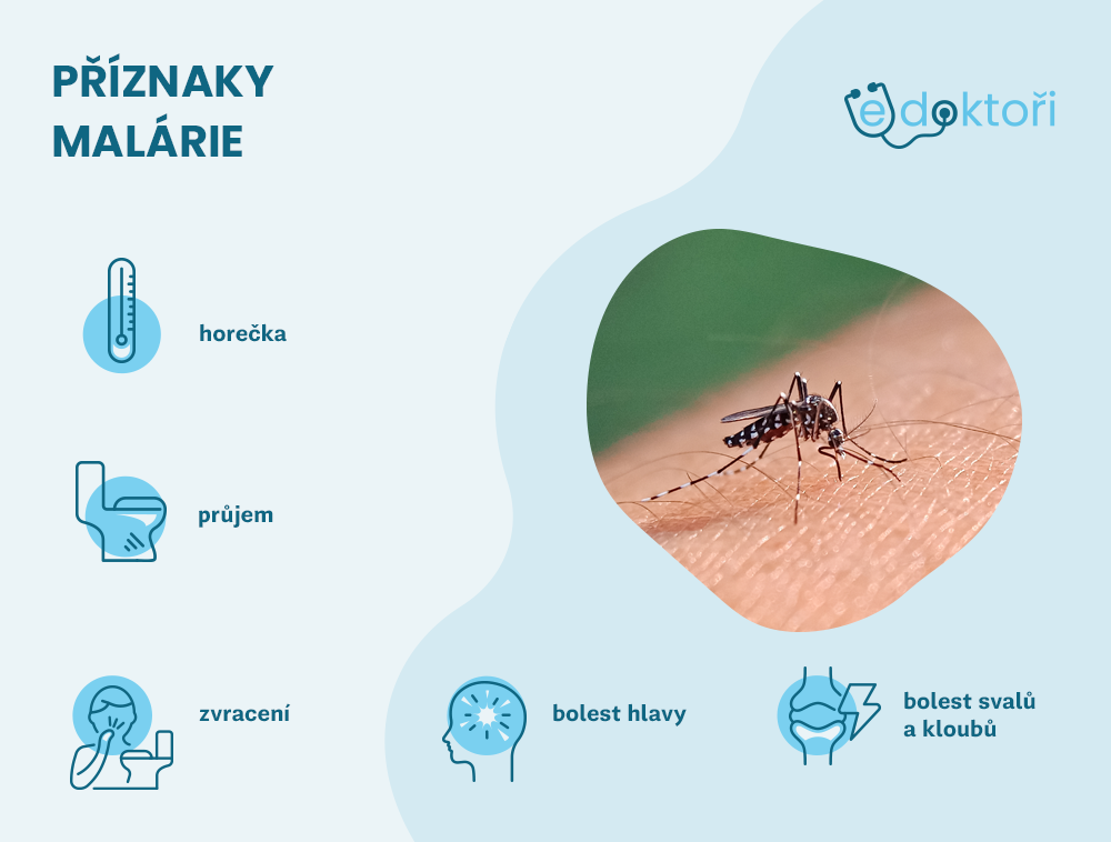 Příznaky malárie