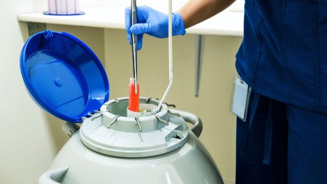 Darování vajíček diskuze