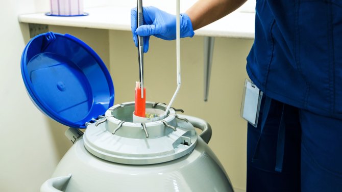 Darování vajíček diskuze