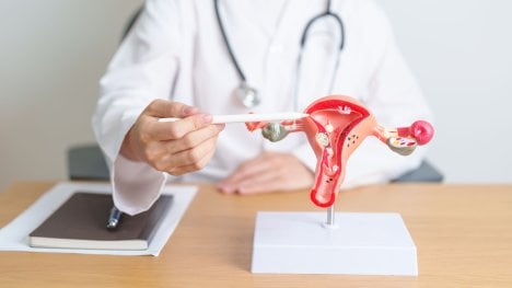 Rakovina dělohy diskuze