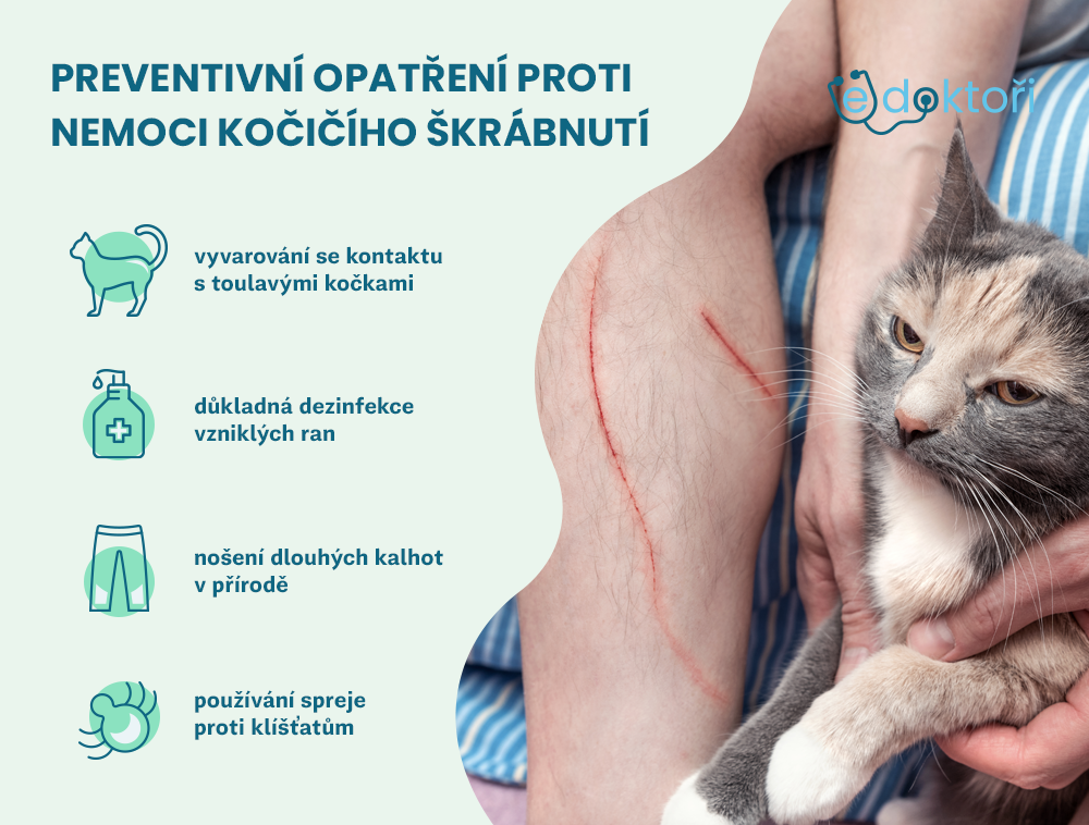 Autor: Redakce edoktori.cz preventivní opatření nemoci kočičího škrábnutí