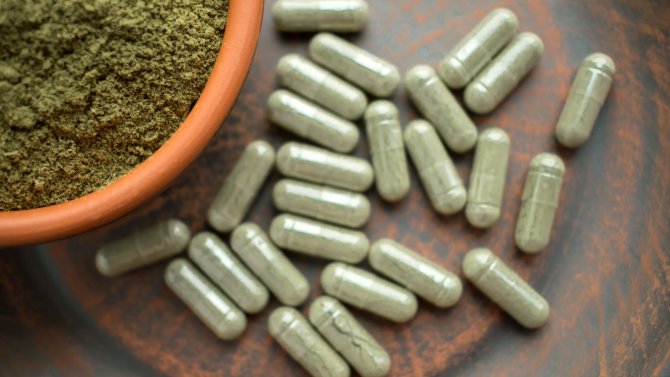 Kratom a léky